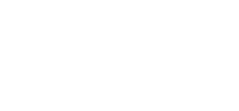Brainbridge