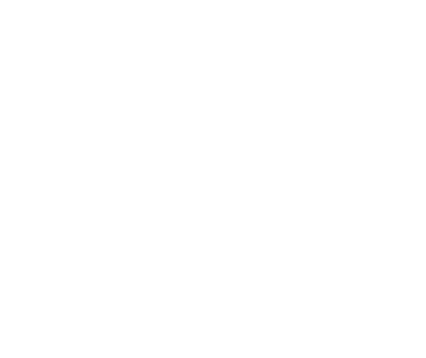 Reistiger